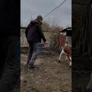 Тамара Адамова Жамалла