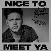 Nice To Meet Ya Stripped Version Niall Horan