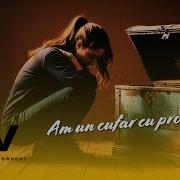 Am Un Cufar Cu Probleme