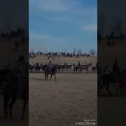 Бузкашии Вахдат Бахтиер Човандоз