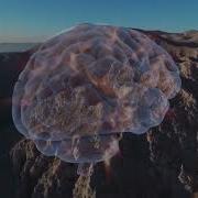 Книга Джо Диспенза Сверхъестественный Разум