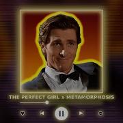 Metamorphosis X The Perfect Girl