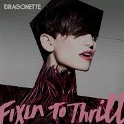 Dragonette Big Sunglasses