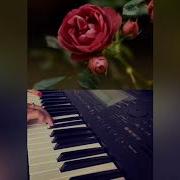Vayri Axjik Дикая Девушка Richard Clayderman