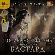 Последняя Жизнь Книга 3