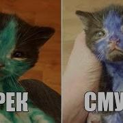 Издевательство Над Котятами Шрек Vs Смурф