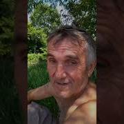 Откровение О Милиции