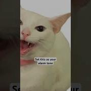 Https Www Tiktok Com Music D0 Be D1 80 D0 B8 D0 B3 D0 B8 D0 Bd D0 B0 D0 Bb D1 8C D0 Bd D1 8B D0 B9 D0 B7 D0 B2 D1 83 D0 Ba 7332896211944803078