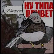 Ну Типа Привет Голубь И Ворон Stalker Top Coub To Music