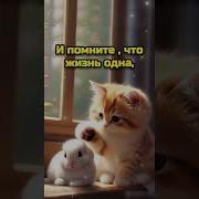 Доброе Утро Мир