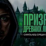 Скиталец 2
