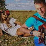 Ах Любовь Золотая Любовь Душевная Песня Под Гармонь Играй Гармонь