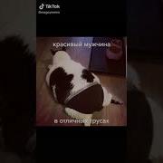 Мужчина В Красивых Трусах