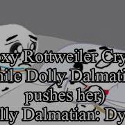 Dylan Dalmatian Deathbed