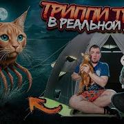 Тропи Тропи