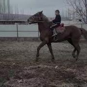 Мошный Ат Экен