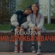 Мир Дружба Жвачка Polikarpova