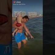 Морская Черепашка А Нет Это Какашка