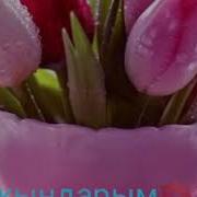 Кутман Тан Жакындарым