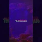 Мое Желание Закон Нука Выполняй Speed Up
