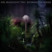 Emil Brandqvist Trio