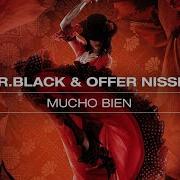 Mr Black Offer Nissim Mucho Bien