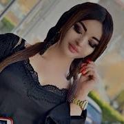 Умар Мс Ва Навик Мс 2019 Ма Мерам