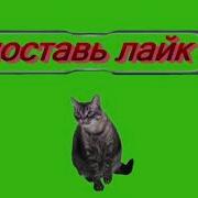 Футаж Подпишись На Канал Поставь Лайк