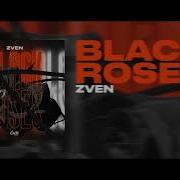 Zven Black Roses