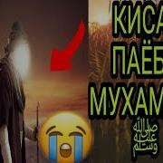 Кисаи Паёбар Мухамад Мавлави Хаётудин