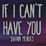 Shawn Mendes If I Can T Have You Lyrics