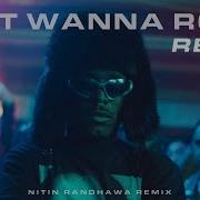 Just Wanna Rock Remix