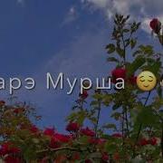 Амэ Сам Барэ Мурша