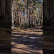 Мы Набрели На Кемперский Городок