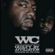 Guilty By Affiliation