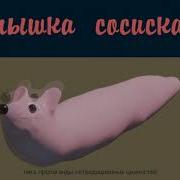 Мышка Сосиска 10 Часов
