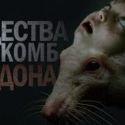 Существа Из Системы Коллекторов