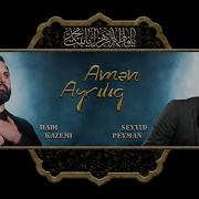 Seyyid Peyman Hadi Kazemi Aman Ayriliq 2021