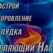 Сытин Желудок