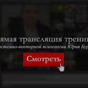 Системно Векторная Психология