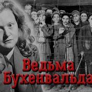 Ликвидаторы Времени Охота На Рейхсфюрера