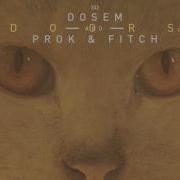 Doors Dosem Prok Fitch