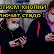 Нажатием Кнопки Выключат Стадо Послушных Блокирует Чип Мысли Навязанные Нам От Сми И Тв