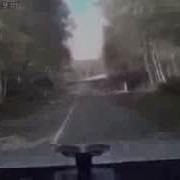 Плывём А Куда Плывём К Берегу