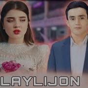 Хурсанд Гуфронов Лайличон