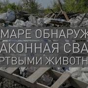 Мусорный Ад В Самаре