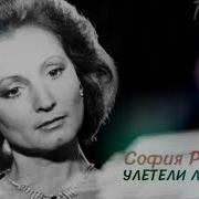 София Ротару Улетели Листья С Тополей
