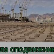 Могила Сподвижника