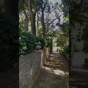Ах Сударыня Скажите Почему Же Этот Вечер Удивительный Такой