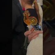 Леденцы Петушки Песня